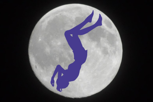 FLY ME TO THE MOON.JPG